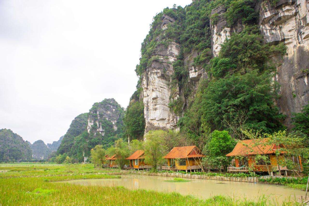Lotus Field Homestay Ninh Binh Dış mekan fotoğraf