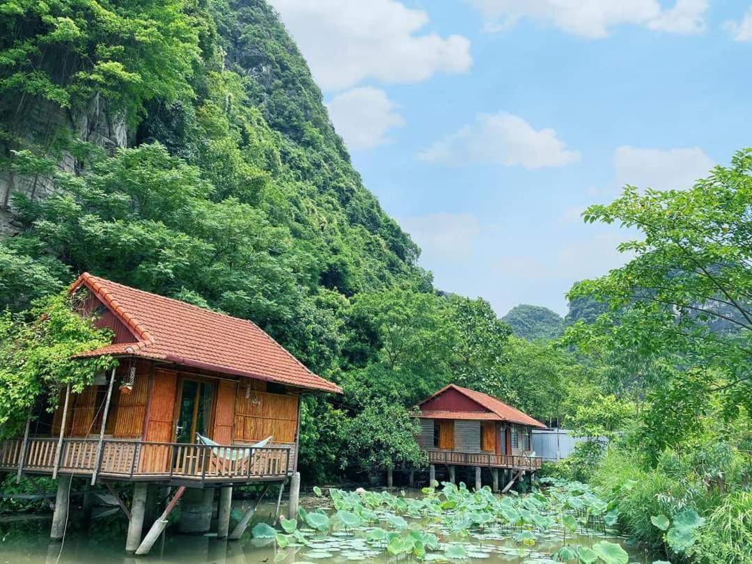 Lotus Field Homestay Ninh Binh Dış mekan fotoğraf