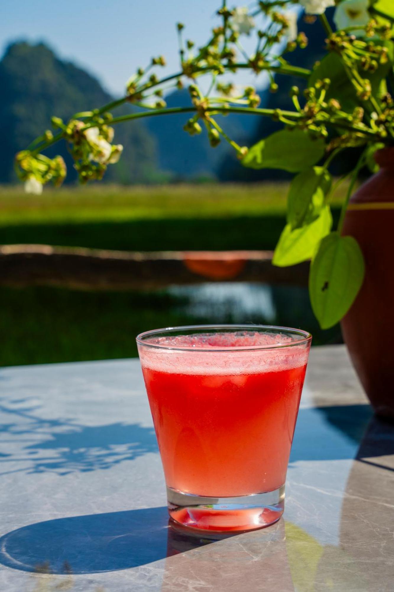 Lotus Field Homestay Ninh Binh Dış mekan fotoğraf