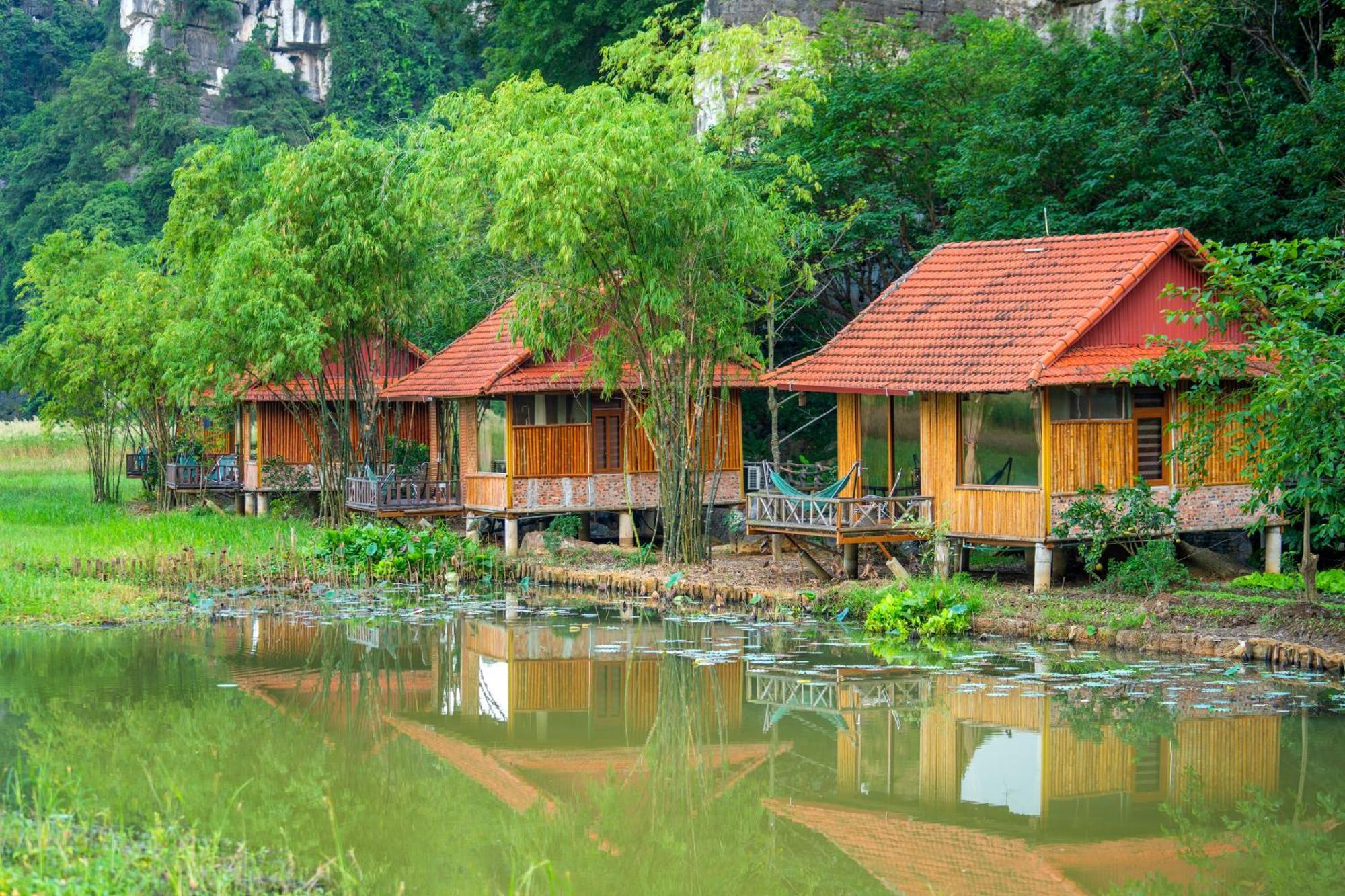 Lotus Field Homestay Ninh Binh Dış mekan fotoğraf