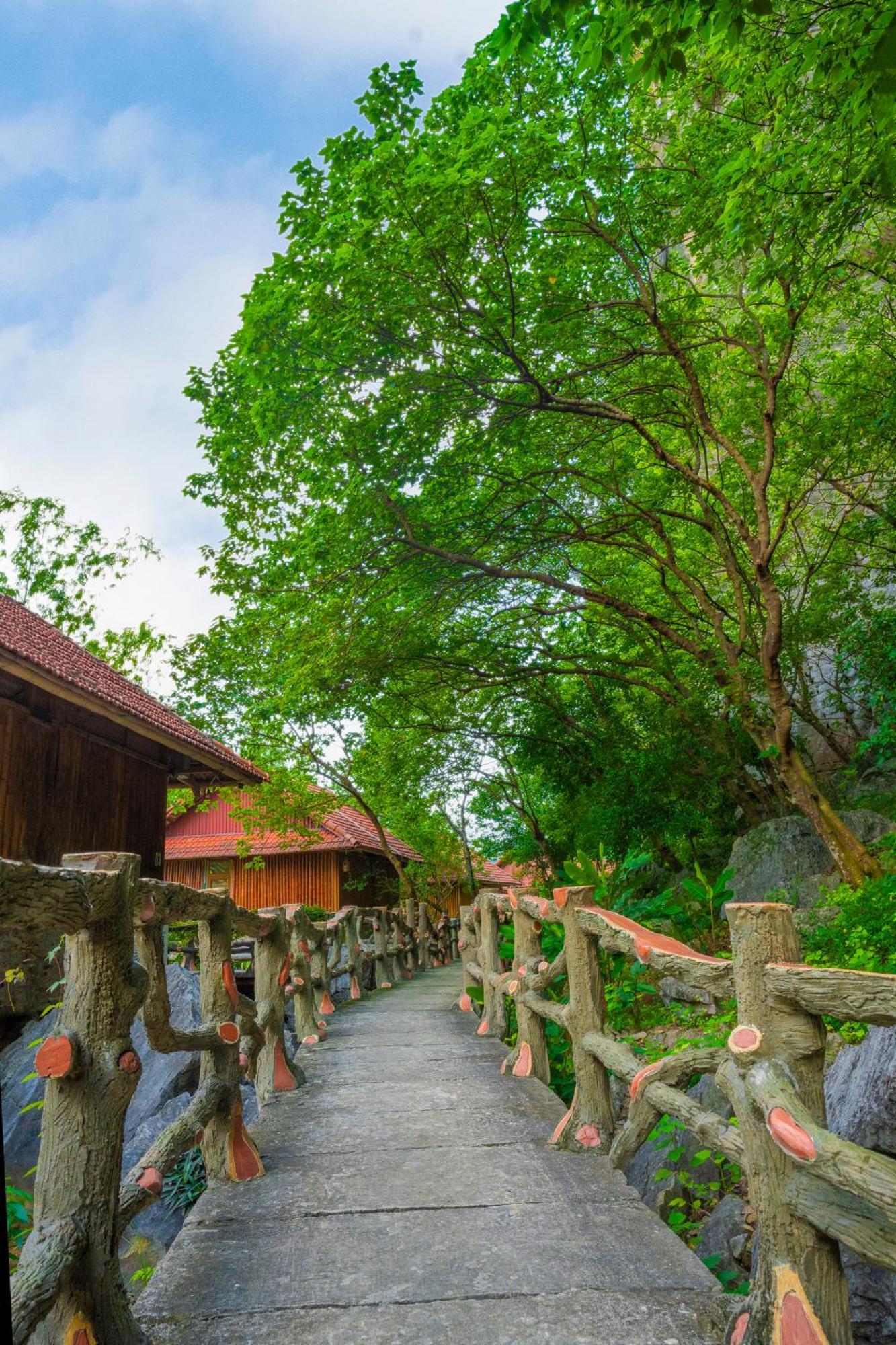 Lotus Field Homestay Ninh Binh Dış mekan fotoğraf
