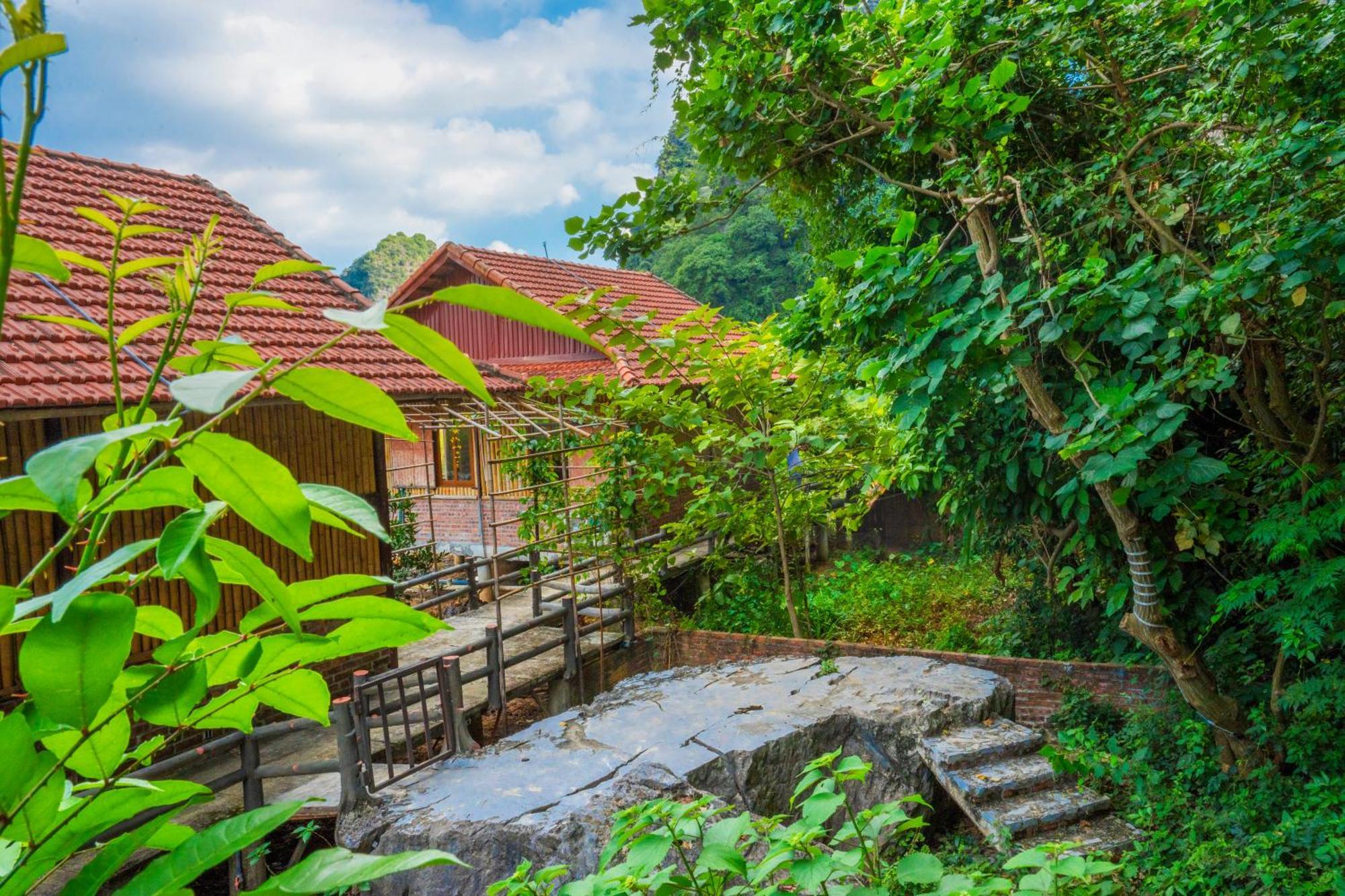 Lotus Field Homestay Ninh Binh Dış mekan fotoğraf
