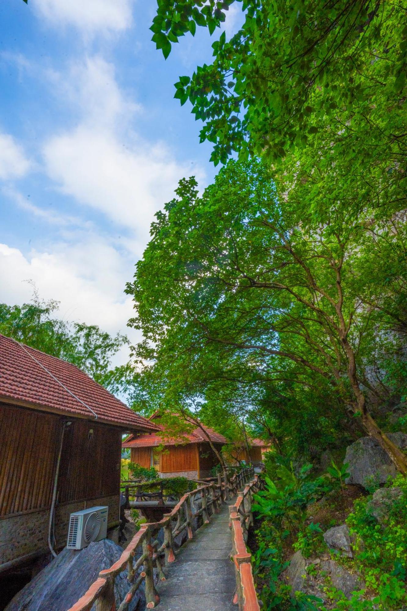 Lotus Field Homestay Ninh Binh Dış mekan fotoğraf