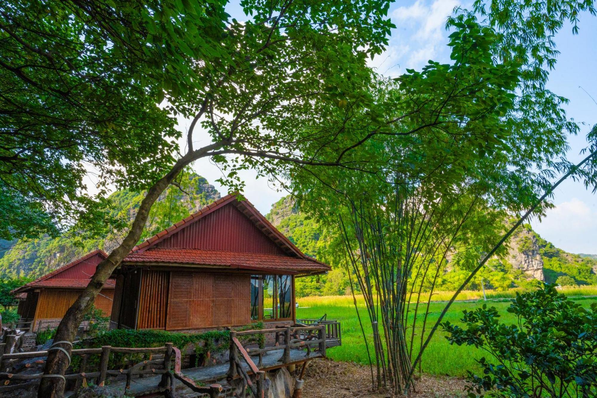 Lotus Field Homestay Ninh Binh Dış mekan fotoğraf